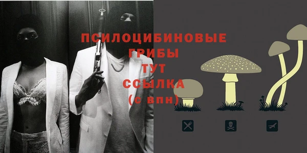 трава Бугульма