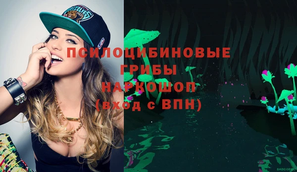 jwh Бородино