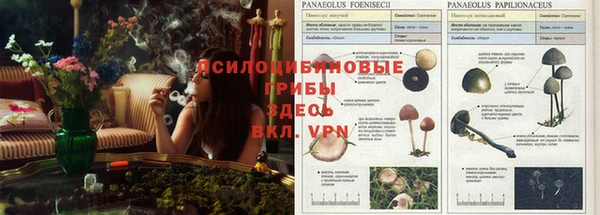 jwh Бородино