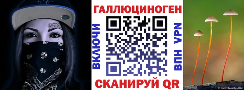 Галлюциногенные грибы прущие грибы  Улан-Удэ 